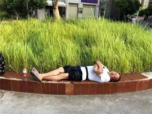图片细节